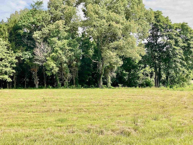 475 Fertile Valley Rd, Somerville, TN 38068