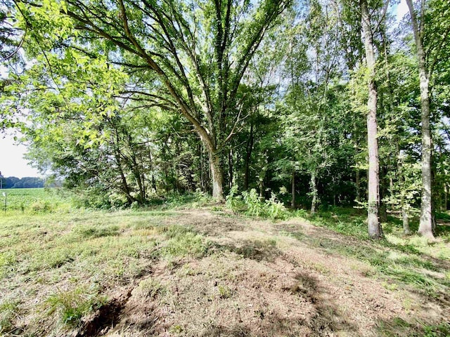 475 Fertile Valley Rd, Somerville, TN 38068