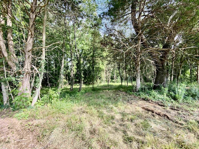 475 Fertile Valley Rd, Somerville, TN 38068