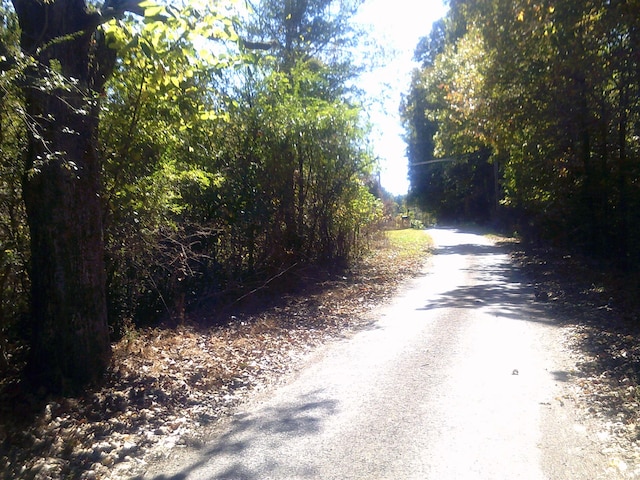 45 Cheairs St, Grand Junction, TN 38039