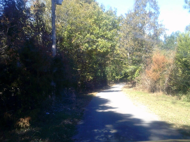 45 Cheairs St, Grand Junction, TN 38039