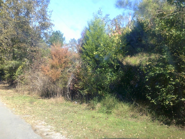 45 Cheairs St, Grand Junction, TN 38039