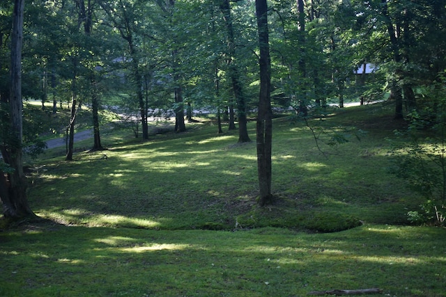 101 Bob St, Selmer, TN 38375 - view of grassy yard