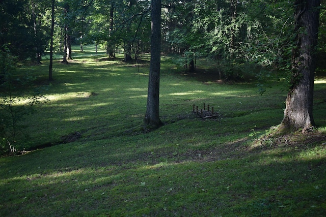 101 Bob St, Selmer, TN 38375 - view of green lawn