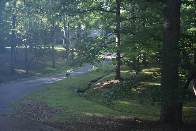 101 Bob St, Selmer, TN 38375 - view of community