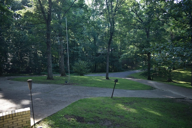 101 Bob St, Selmer, TN 38375 - view of road