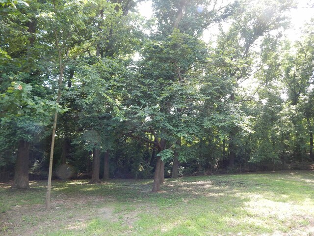 1849 Townsend Ave, Memphis, TN 38127 - view of grassy yard with a forest view