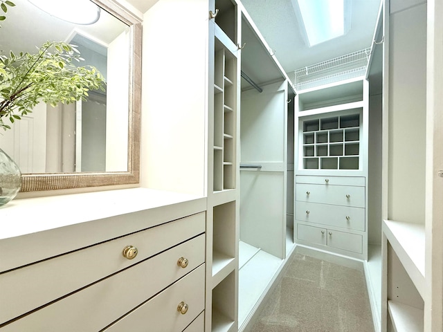7598 Fairway Forest Dr E, Memphis, TN 38016 - view of spacious closet
