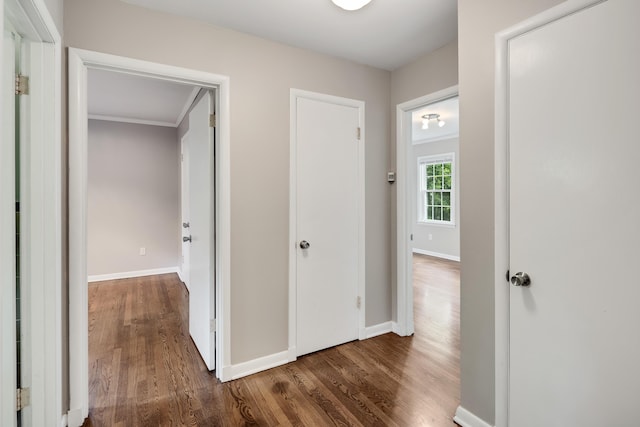 3218 Joffre Ave, Memphis, TN 38111 - hallway with wood finished floors and baseboards