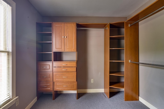 1501 Granville Ln, Memphis, TN 38104 - spacious closet featuring carpet flooring
