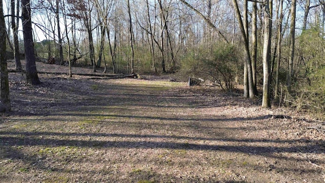 11095 Latting Rd, Eads, TN 38028 - view of yard with a wooded view