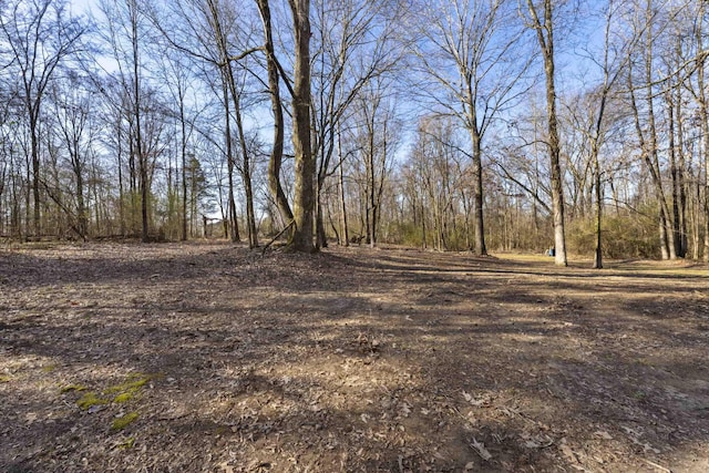 11095 Latting Rd, Eads, TN 38028 - view of yard