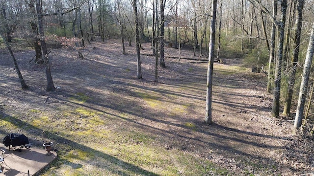 11095 Latting Rd, Eads, TN 38028 - view of yard