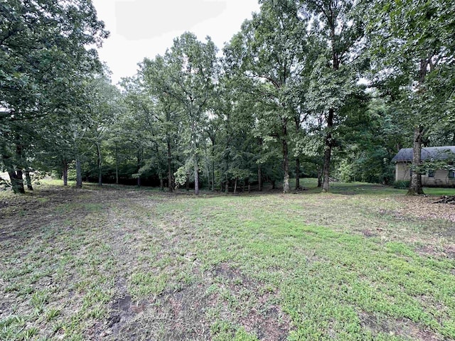 1790 Country Club Rd, Somerville, TN 38068 - view of yard