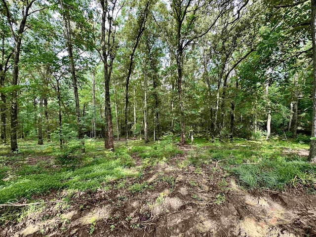 1790 Country Club Rd, Somerville, TN 38068 - view of woods