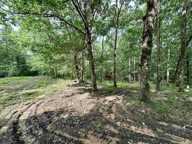 1790 Country Club Rd, Somerville, TN 38068 - view of woods