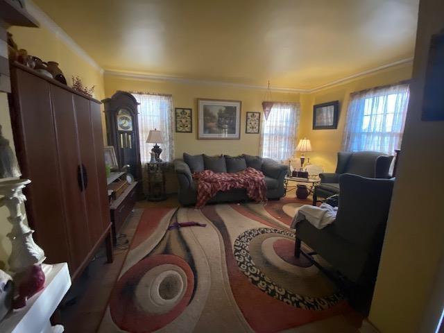 4643 E Renshaw Dr, Memphis, TN 38122 - living room with crown molding