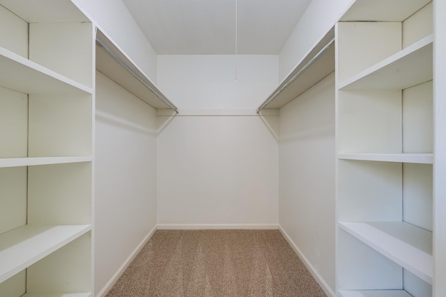 5662 Chapman Ave, Memphis, TN 38119 - walk in closet with carpet
