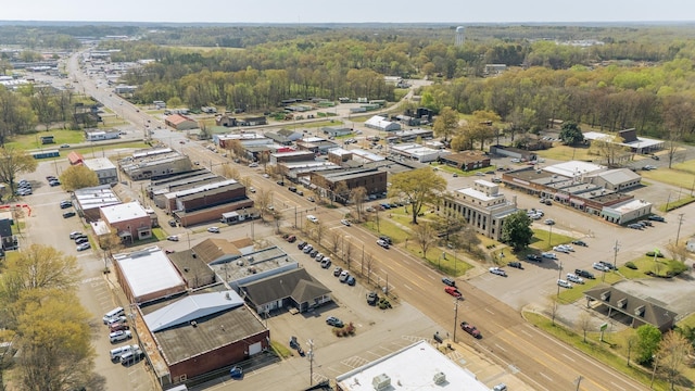 119 N 4th St, Selmer, TN 38375 - bird's eye view of a forest