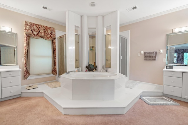 6500 State Line Rd, Tn, TN 38141 - full bathroom with a shower stall, vanity, and crown molding