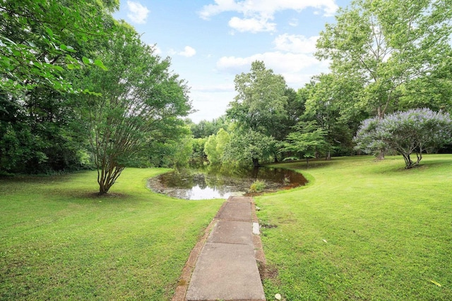 6500 State Line Rd, Tn, TN 38141 - view of grassy yard with a water view