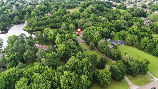6500 State Line Rd, Tn, TN 38141 - aerial view of a nearby body of water