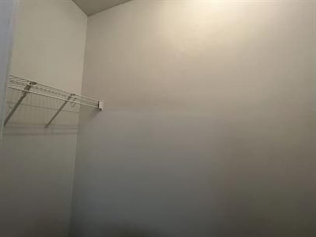 1017 Cordova Ridge Pl, Cordova, TN 38018 - view of walk in closet