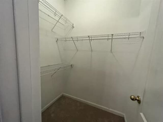1017 Cordova Ridge Pl, Cordova, TN 38018 - view of spacious closet