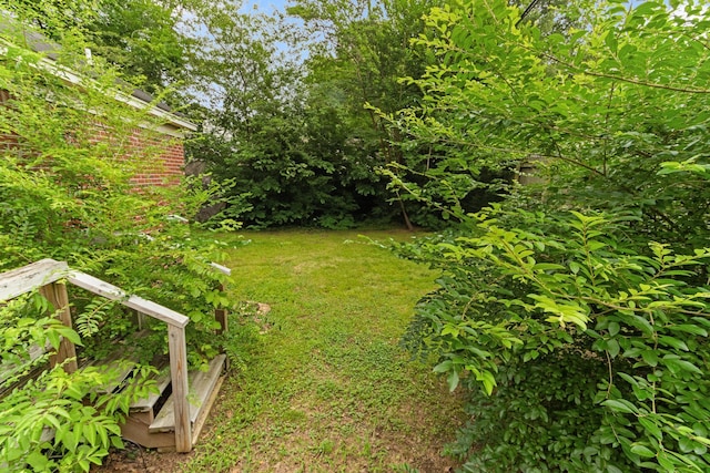 3541 Aurora Cir, Memphis, TN 38111 - view of yard
