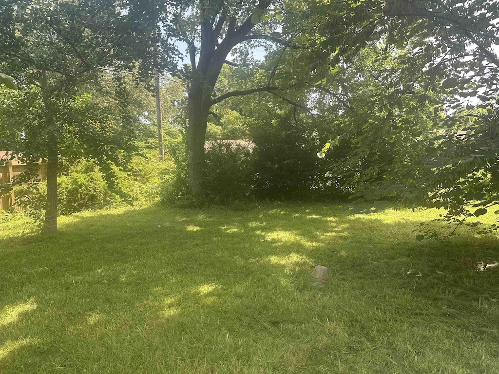 1638 Hester Dr, Memphis, TN 38116 - view of green lawn