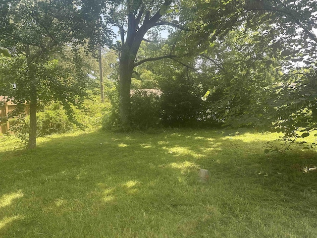 1638 Hester Dr, Memphis, TN 38116 - view of green lawn