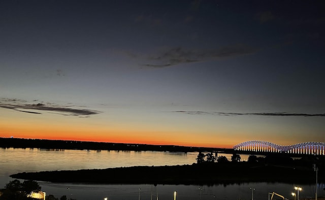 200 Wagner Pl Unit 804, Memphis, TN 38103 - water view