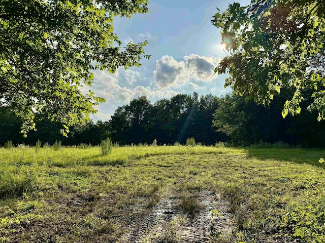 6055 Feathers Chapel Dr, Somerville, TN 38068