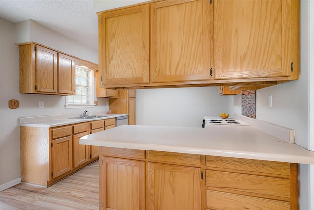 3333 Sycamore View Rd, Bartlett, TN 38134 - kitchen featuring light wood-style flooring, light countertops, stainless steel dishwasher, and a textured ceiling