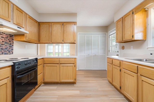 3333 Sycamore View Rd, Bartlett, TN 38134 - kitchen with black range with electric cooktop, light countertops, under cabinet range hood, light wood finished floors, and tasteful backsplash