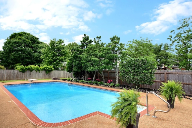 774 Wellington Way Cv, Collierville, TN 38017 - view of swimming pool with a fenced backyard, a patio area, and a diving board