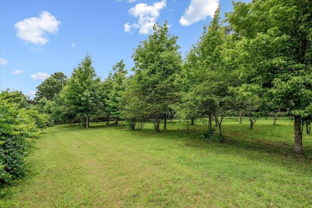 2165 Latting Hills Cv, Eads, TN 38016 - view of green lawn