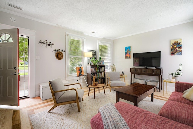 569 Lundee Pl, Memphis, TN 38111 - living room with ornamental molding, light wood-style flooring, healthy amount of natural light, and a textured ceiling