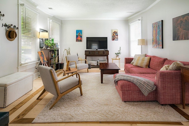 569 Lundee Pl, Memphis, TN 38111 - living area featuring wood finished floors, crown molding, plenty of natural light, and a textured ceiling