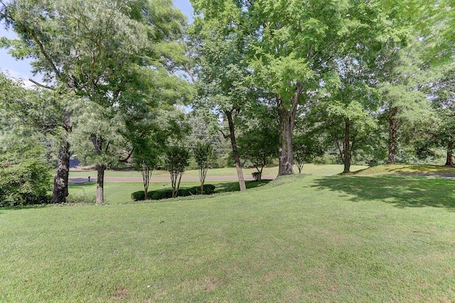 3365 Harrell Rd, Tn, TN 38002 - view of green lawn
