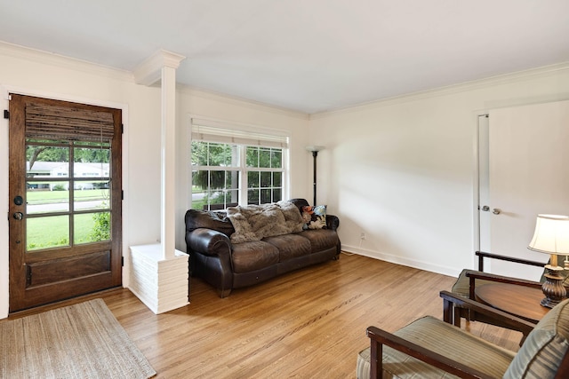 4152 Barfield Rd, Memphis, TN 38117 - living room featuring ornamental molding, healthy amount of natural light, and light wood-type flooring