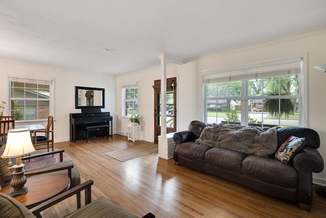 4152 Barfield Rd, Memphis, TN 38117 - living room with ornamental molding and light wood-type flooring