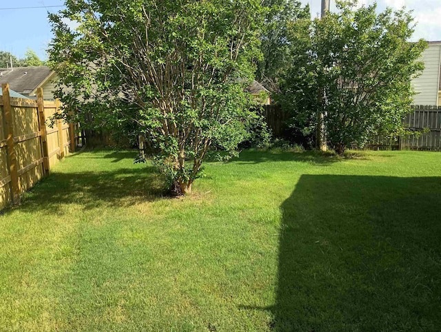 5393 Twisting Ridge Cv, Memphis, TN 38141 - view of fenced backyard