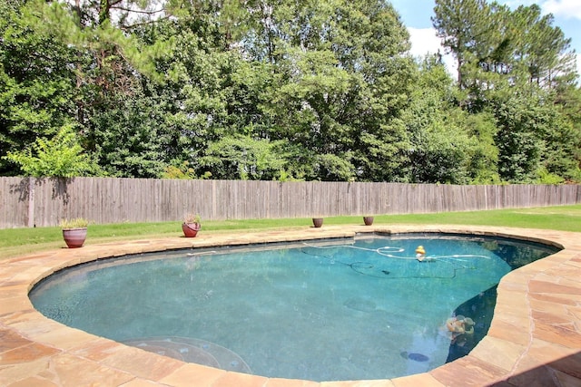1150 Forest Wood Cv E, Collierville, TN 38017 - view of pool with a fenced backyard