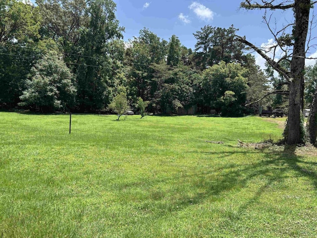 3806 Bluff Rd, Hernando, MS 38632 - view of green lawn