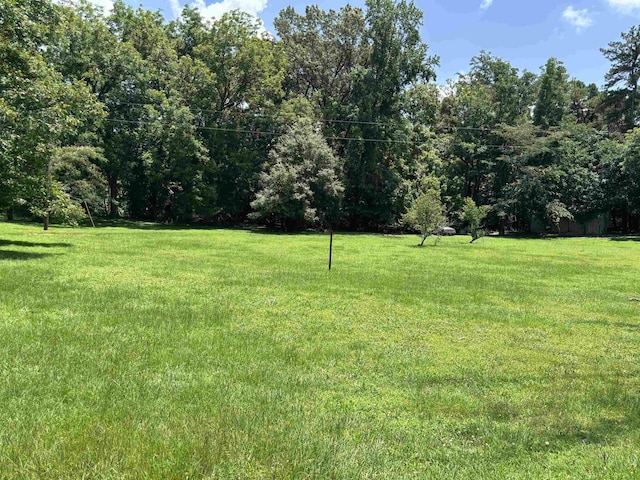 3806 Bluff Rd, Hernando, MS 38632 - view of green lawn