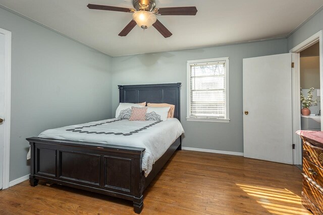 3806 Bluff Rd, Hernando, MS 38632 - bedroom with wood finished floors, ceiling fan, and crown molding