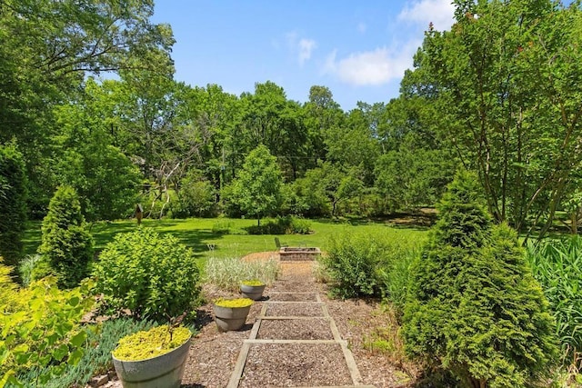 9240 Riveredge Dr, Memphis, TN 38018 - view of yard with a vegetable garden