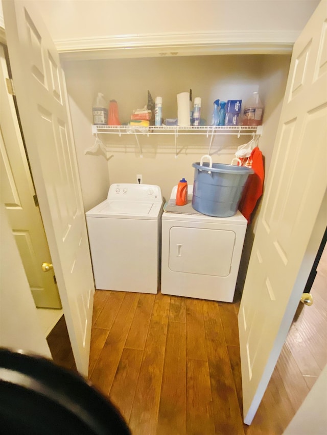 1121 W Red Fern Cir W, Cordova, TN 38018 - laundry area with washing machine and clothes dryer, wood finished floors, and ornamental molding