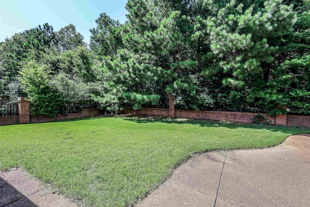 8510 Wolf Trace Ln, Bartlett, TN 38133 - view of yard